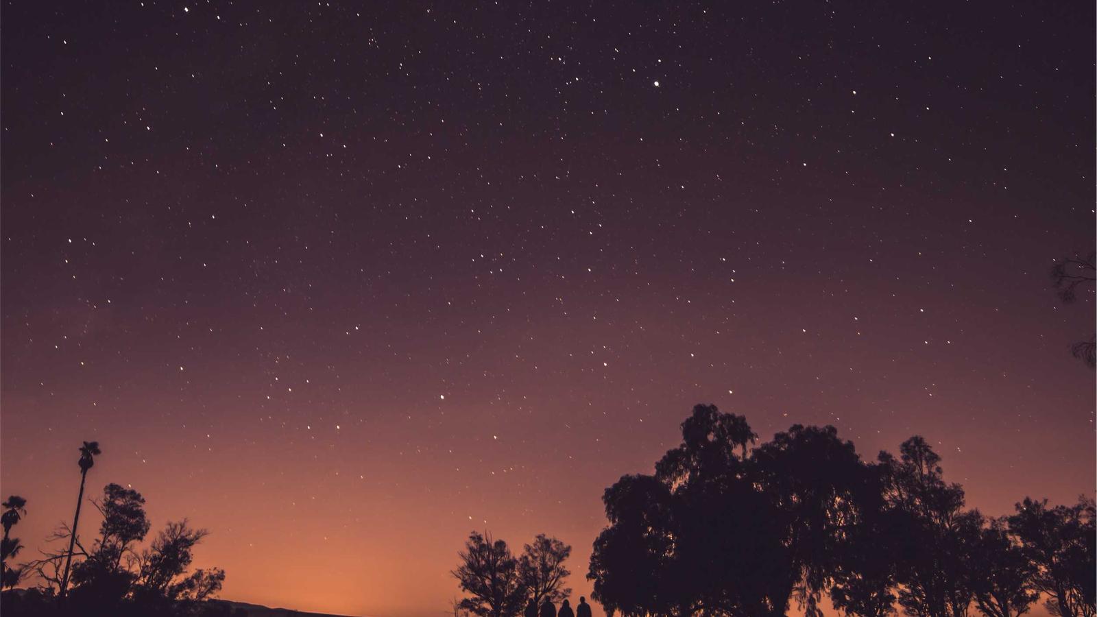 Post‑Purchase Flows That Drive Repeat Orders (No Discounts Needed)